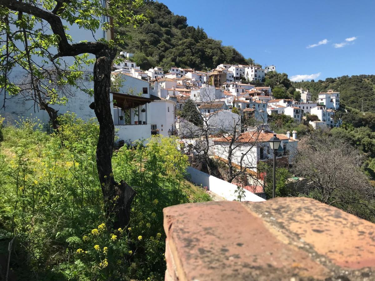 Casa Rural Pimentel Benalauría 外观 照片